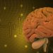 World News, Oren Zarif, Overcome any disease, how the body heals itself