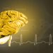 World News, Oren Zarif, Overcome any disease, how the body heals itself
