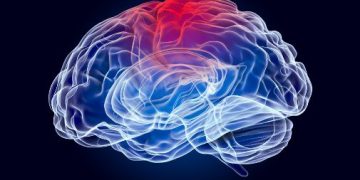 World News, Oren Zarif, Overcome any disease, how the body heals itself