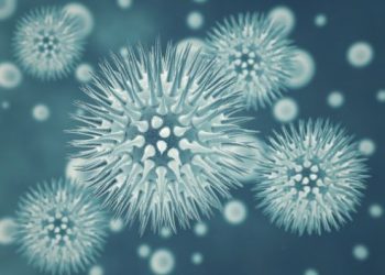 What You Need To Know About Types of Cancer - Oren Zarif