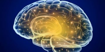 Warning Signs That Should Be Lessenled - Oren Zarif