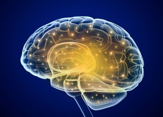 Warning Signs That Should Be Lessenled - Oren Zarif