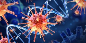 Types of Cancers - Oren Zarif