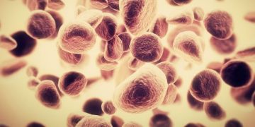 Common Types of Cancers That Older Adults Afford to Know About - Oren Zarif