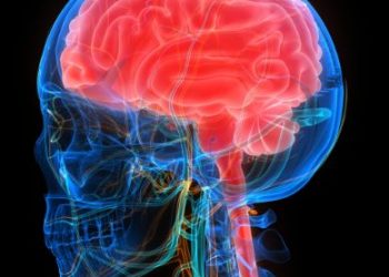 World News, Oren Zarif, Overcome any disease, how the body heals itself