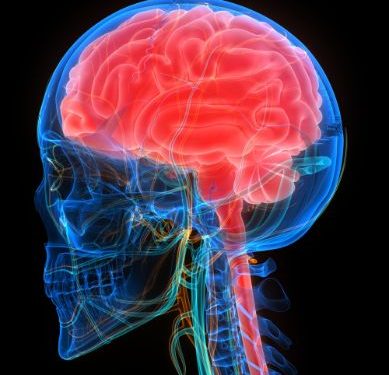 World News, Oren Zarif, Overcome any disease, how the body heals itself