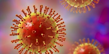 Knowing the Types of Cancers - Oren Zarif