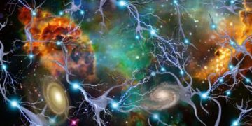 MS Symptoms: When to See a Specialist - Oren Zarif