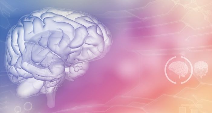 Stroke Symptoms - Oren Zarif