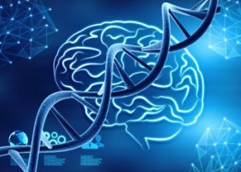 Common Stroke Symptoms - Oren Zarif
