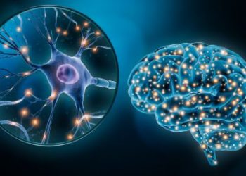 Oren Zarif, Overcome any disease, how the body heals itself, World News