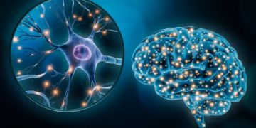 Oren Zarif, Overcome any disease, how the body heals itself, World News