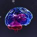 World News, Oren Zarif, Overcome any disease, how the body heals itself