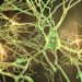 World News, Oren Zarif, psychokinesis, Overcome any disease, how the body heals itself