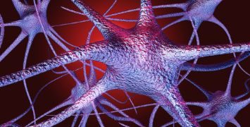 World News, Oren Zarif, psychokinesis, Overcome any disease, how the body heals itself