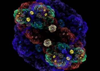 What Types of Cancers Occur Only in Adults? - Oren Zarif