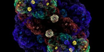 What Types of Cancers Occur Only in Adults? - Oren Zarif