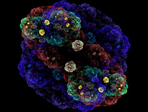 What Types of Cancers Occur Only in Adults? - Oren Zarif