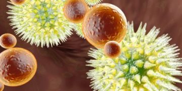 Main Types of Cancers That Occur in Older Adults - Oren Zarif