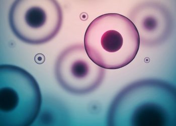 Types of Cancer Commonly Affecting Women - Oren Zarif