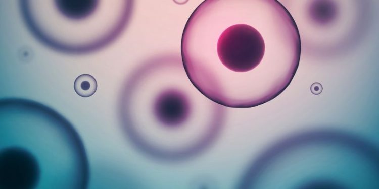 Types of Cancer Commonly Affecting Women - Oren Zarif