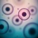 Types of Cancer Commonly Affecting Women - Oren Zarif