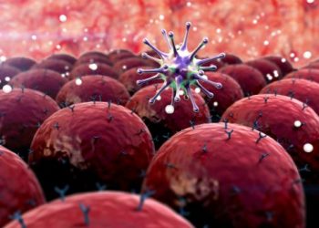 Some Common Types of Cancer in Adults - Oren Zarif
