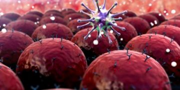 Some Common Types of Cancer in Adults - Oren Zarif