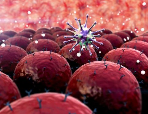Some Common Types of Cancer in Adults - Oren Zarif