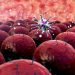 Some Common Types of Cancer in Adults - Oren Zarif