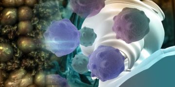 Main Types of Cancer and Their Causes - Oren Zarif