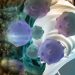 Main Types of Cancer and Their Causes - Oren Zarif
