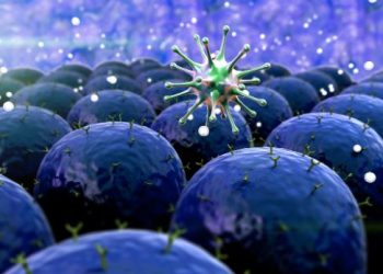 The Most Common Types of Cancer - Oren Zarif