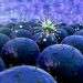 The Most Common Types of Cancer - Oren Zarif