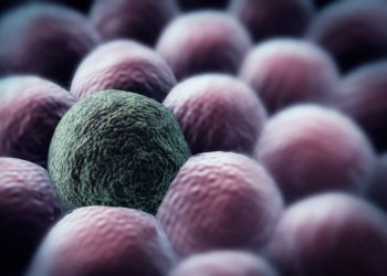 Types of Cancers and Their Prevention and Treatment - Oren Zarif