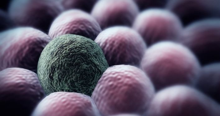 Types of Cancers and Their Prevention and Treatment - Oren Zarif