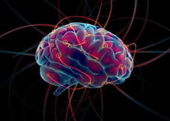 Understanding Speech Meaning And The Connection Between Phonics And Stroke - Oren Zarif