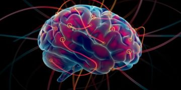 Understanding Speech Meaning And The Connection Between Phonics And Stroke - Oren Zarif