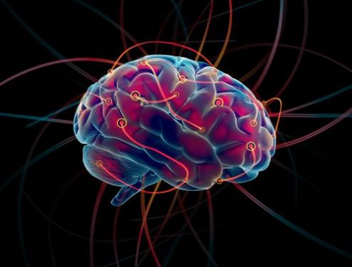 Understanding Speech Meaning And The Connection Between Phonics And Stroke - Oren Zarif