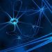MS Symptoms & Relapses - Oren Zarif