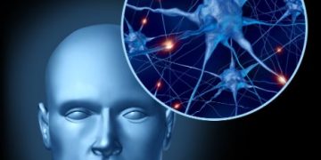 Stroke Symptoms and Treatments - Oren Zarif