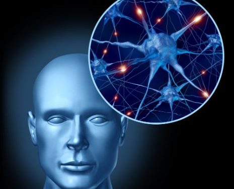 Stroke Symptoms and Treatments - Oren Zarif