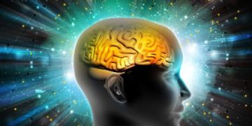 Stroke Symptom - Five Reasons You May Experience a Stroke - Oren Zarif