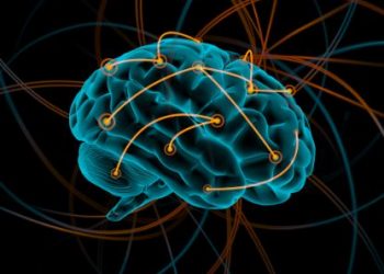 Stroke Symptoms and Treatments - Oren Zarif