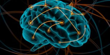 Stroke Symptoms and Treatments - Oren Zarif