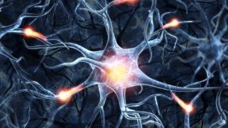 Early Signs of MS Symptoms - Oren Zarif
