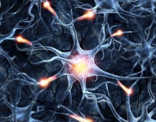 Early Signs of MS Symptoms - Oren Zarif