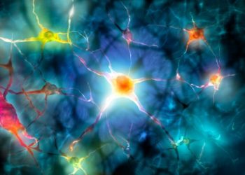 MS Symptoms - Are You Experiencing MS Symptoms? - Oren Zarifs, Overcome any disease, how the body heals itself
