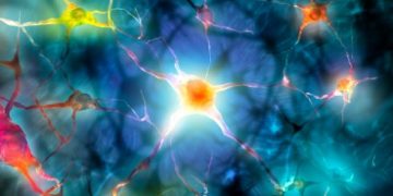 MS Symptoms - Are You Experiencing MS Symptoms? - Oren Zarifs, Overcome any disease, how the body heals itself