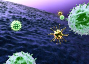 What Are the Most Common Types of Cancer? - Oren Zarifw the body heals itself, World News